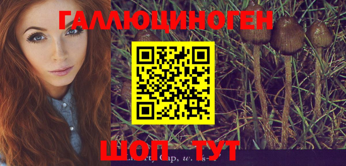 Псилоцибиновые грибы прущие грибы  где продают наркотики  Советск  Вход с VPN  Псилоцибиновые грибы прущие грибы 