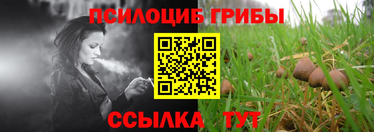 Псилоцибиновые грибы ЛСД Советск